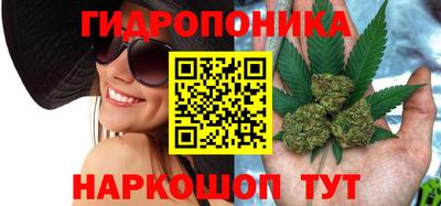 гашик Волжск