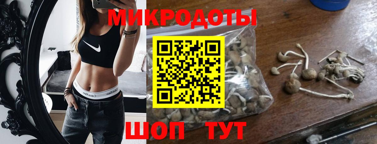 Усолье-Сибирское  Псилоцибиновые грибы Psilocybine cubensis  Вход с VPN 